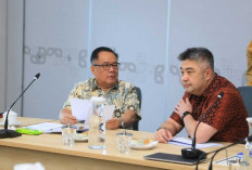 Sumsel All Out! Wagub Cik Ujang Desak Pelindo Satset Tuntaskan 'Mimpi Besar' Pelabuhan Tanjung Carat