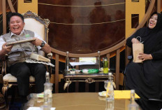 Terima Audiensi YSDI, Herman Deru Bongkar 3 Siasat Jitu Sulap UMKM Difabel Tembus Pasar Modern