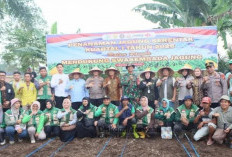 Polres Lubuklinggau dan Pemkot Tanam Jagung Serentak, Targetkan Penguatan Ketahanan Pangan