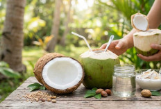 Dijuluki Pohon Kehidupan, Ternyata Sederet Manfaat Luar Biasa Buah Kelapa Ini Jarang Diketahui Banyak Orang