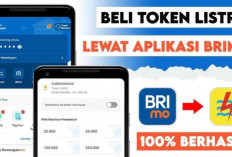 Tak Perlu Lagi ke Kota, IRT di Empat Lawang Terbantu Beli Token Listrik Lewat BRImo