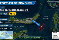 Gempa Magnitudo 4,3 Pagi Ini Guncang Bolaang Uki, Tak Berpotensi Tsunami