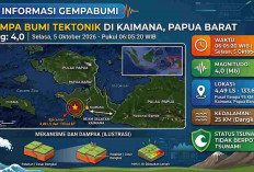 Gempa Magnitudo 4,0 Guncang Kaimana Papua Barat Pagi Ini, BMKG: Tak Berpotensi Tsunami