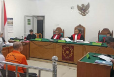 Live TikTok Adu Ikan Cupang, Pasutri di Palembang Didakwa Gelar Judi Online