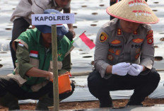 Kapolres Lahat AKBP Novi Edyanto Turun Langsung Tanam Bawang Putih Seluas 1 Hektare di Kota Agung