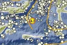 BMKG Catat Rentetan Gempa Pagi Ini, Salah Satunya Magnitudo 4,3 di Sulawesi Utara