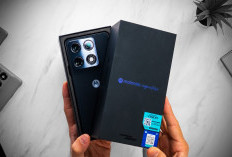 Motorola Signature: Flagship Killer yang Bikin Xiaomi Ketar-ketir!