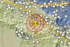 Indonesia Pagi Ini Diguncang Serangkaian Gempa, Terkuat di Pegunungan Bintang