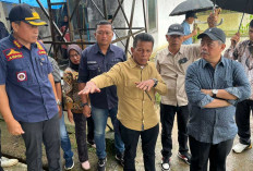 Lahat Siap Jadi Sentra Perikanan Sumatera, Bupati Fokus Kembangkan Kemandirian Benih Ikan