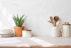 AJAIB! Ini 4 Tanaman Hias Penyegar Udara Dapur Anda