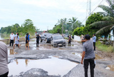 Dihadapan Gubernur Sumsel dan Bupati Muba, Kendaraan Pribadi Adu Offroad di Jalan Negara