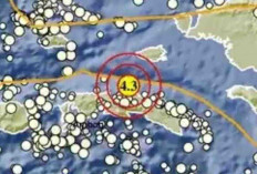 Gempa Magnitudo 4,3 Guncang Maluku Tengah pada Kedalaman 9 Km, Tak Berpotensi Tsunami