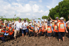 PLN Icon Plus Kenalkan Pelestarian Pesisir kepada Generasi Muda melalui Penanaman Mangrove