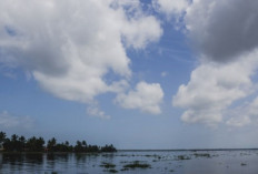 Sumsel Diselimuti Awan, 3 Daerah Ini Berpotensi Diguyur Hujan Hari Ini!