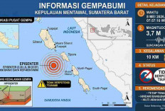 Mentawai Diguncang Gempa 3,7 Magnitudo Pagi Ini, Rentetan Gempa Susul NTT