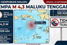 Gempa Magnitudo 4,3 Guncang Maluku Tenggara, BMKG: Tak Berpotensi Tsunami!