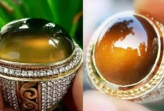 Aura Gaib Terpendam! Batu Akik Bio Solar Konon Bisa Jadi Magnet Rezeki dan  Keberuntungan