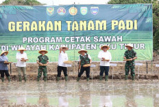Hilirisasi Pangan di OKU Timur: Langkah Berani Bupati Enos Dongkrak Ekonomi Desa