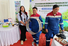 Tekan Emisi dan Biaya, Inovasi Sederhana PHE Jambi Merang Ubah Pola Operasi di Sungai Kenawang