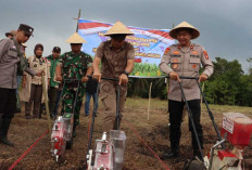 Dukung Swasembada Pangan, Wakapolres dan Sekda Lahat Turun ke Ladang Tanam Jagung Serentak 2026