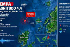 Gempa Magnitudo 4,4 Guncang Maluku Utara Dini Hari, Cek Kedalaman dan Episentrumnya