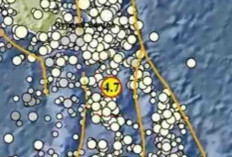 Gempa Magnitudo 4,7 Guncang Melonguane pada Kedalaman 29 Km, Tak Berpotensi Tsunami