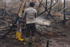 Lima Hektare Hutan Produksi Terbakar di Desa Karang Agung Lalan