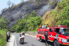 Gercep Padamkan Api di Tebingan Lahat: Polsek Pulau Pinang Bersama BPBD Sigap Cegah Kebakaran Lahan Meluas
