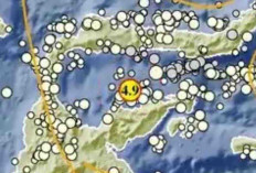 Pagi Ini Gempa M4,9 Guncang Tojo Una-Una, BMKG Catat Sejumlah Gempa di Beberapa Daerah