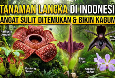 5 Tanaman Langka di Indonesia yang Sangat Sulit Ditemukan, Keindahan dan Keunikannya Bikin Kagum