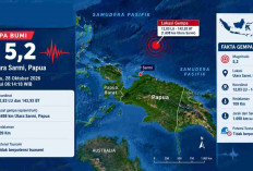 Papua dan Sulawesi Utara Diguncang Gempa Magnitudo 5,2 Pagi Ini, Cek Data Lengkap BMKG!