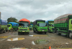 Razia Terpadu di Terminal Petanang, 40 Truk Batu Bara Diamankan