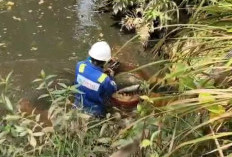 Diduga Bocor dari Tangki Minyak SRMD, Sungai dan Sumur Warga Belani Tercemar