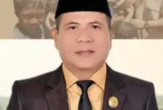 Tolak TKA di PT SPF, Anggota DPRD Ogan Ilir Huzaimi Agendakan Sidak Lapangan