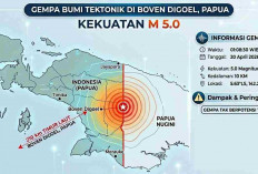 Gempa Beruntun Guncang Indonesia Dini Hari, M 5,0 Getarkan Boven Digoel