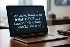Bebas Lemot Bertahun-Tahun, Ini Deretan Laptop Paling Awet dan Tangguh Pilihan Para Profesional
