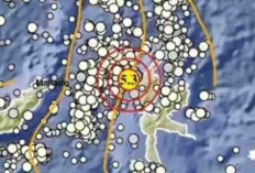Gempa Magnitudo 5,3 Pagi Ini Guncang Halmahera Barat, Tak Berpotensi Tsunami