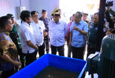 Dampingi Menko Polkam ke Banyuasin, Cik Ujang Usulkan Pembangunan Kampung Nelayan di 7 Daerah Sumsel