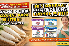 Jarang Dilirik padahal Kaya Nutrisi! Ini 5 Manfaat Hebat Konsumsi Lobak Putih untuk Jantung hingga Pencernaan