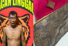 Tak Tahan Tersiksa, Siswi SMP di Lubuklinggau Beranikan Diri Bisikkan Rahasia Pilu Ini ke Guru Sekolah