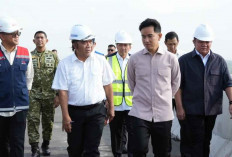 Wapres Gibran Apresiasi Progres JTTS, Tol Palembang-Betung dan Betung-Tempino-Jambi Dikebut