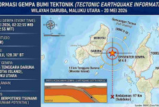 Gempa Magnitudo 4,0 Guncang Daruba Pagi Ini, Tak Berpotensi Tsunami