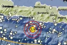 Gempa Magnitudo 3,9 Guncang Gunung Kidul pada Kedalaman 10 Km, Tak Berpotensi Tsunami