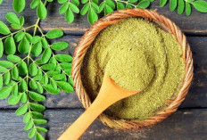 Bukan Daun Biasa! 4 Daun Herbal Ini Dipercaya Ampuh Jaga Kesehatan Tubuh