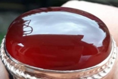 Daftar 10 Batu Akik Paling ‘Berisi’ 2026, Konon Dapat Meningkatkan Wibawa Pemiliknya