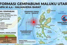 Halmahera Barat Diguncang Gempa M4,4 Dini Hari, Cek Lokasi Episentrum dan Kedalamannya