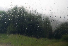 Prakiraan Cuaca BMKG Hari Ini 11 Desember 2025, Hujan Ringan Mendominasi Sumsel, Hujan Sedang di Musi Rawas