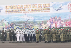 Wagub Cik Ujang Ajak TNI-Polri dan Rakyat Bersatu Atasi Karhutla di Sumsel