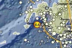Rentetan Gempa Guncang Indonesia Pagi Ini, Terkuat Magnitudo 4,6 Goyang Tahuna Sulut