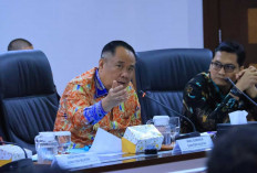 Update Tol Betung-Tempino-Jambi: Wagub Sumsel Kawal Langsung Rapat Percepatan di Istana Negara